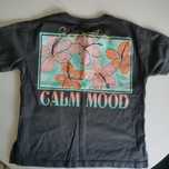 T-shirt Zara kids szara