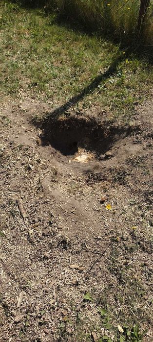 Usuwanie pni Frezowanie pni