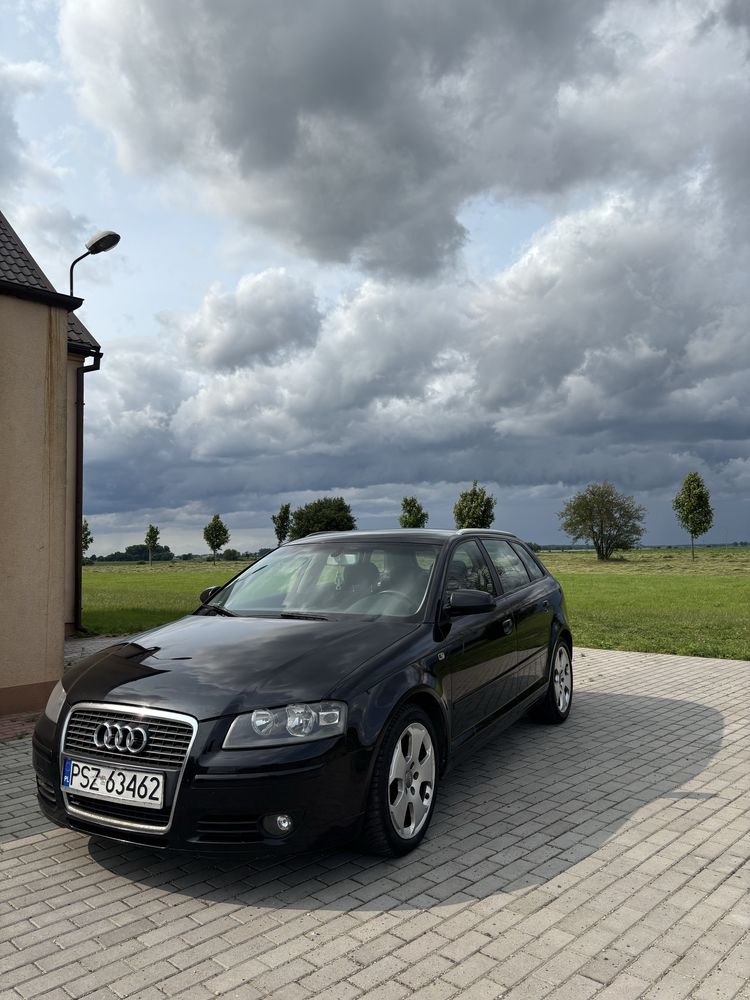 Audi A3 8P 2.0 TDI