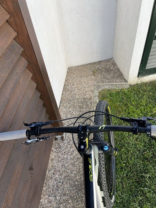 Scott scale Carbono
