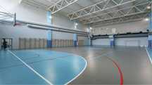 Спортивний лінолеум Tarkett Omnisports V35 / V65 / V83
