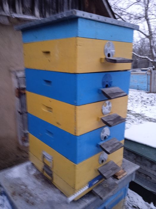 Вулики 10-рамкові,  5 шт