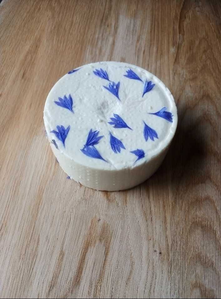 Mleko i sery kozie
