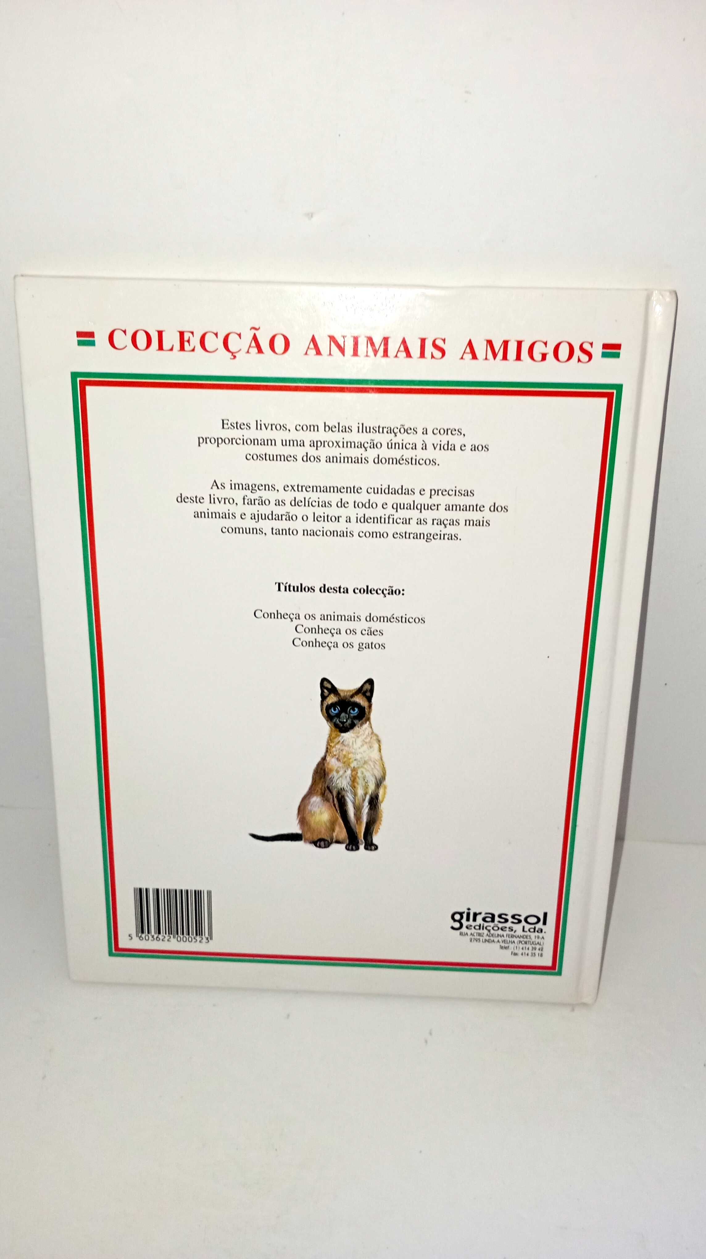 Conheça os Gatos