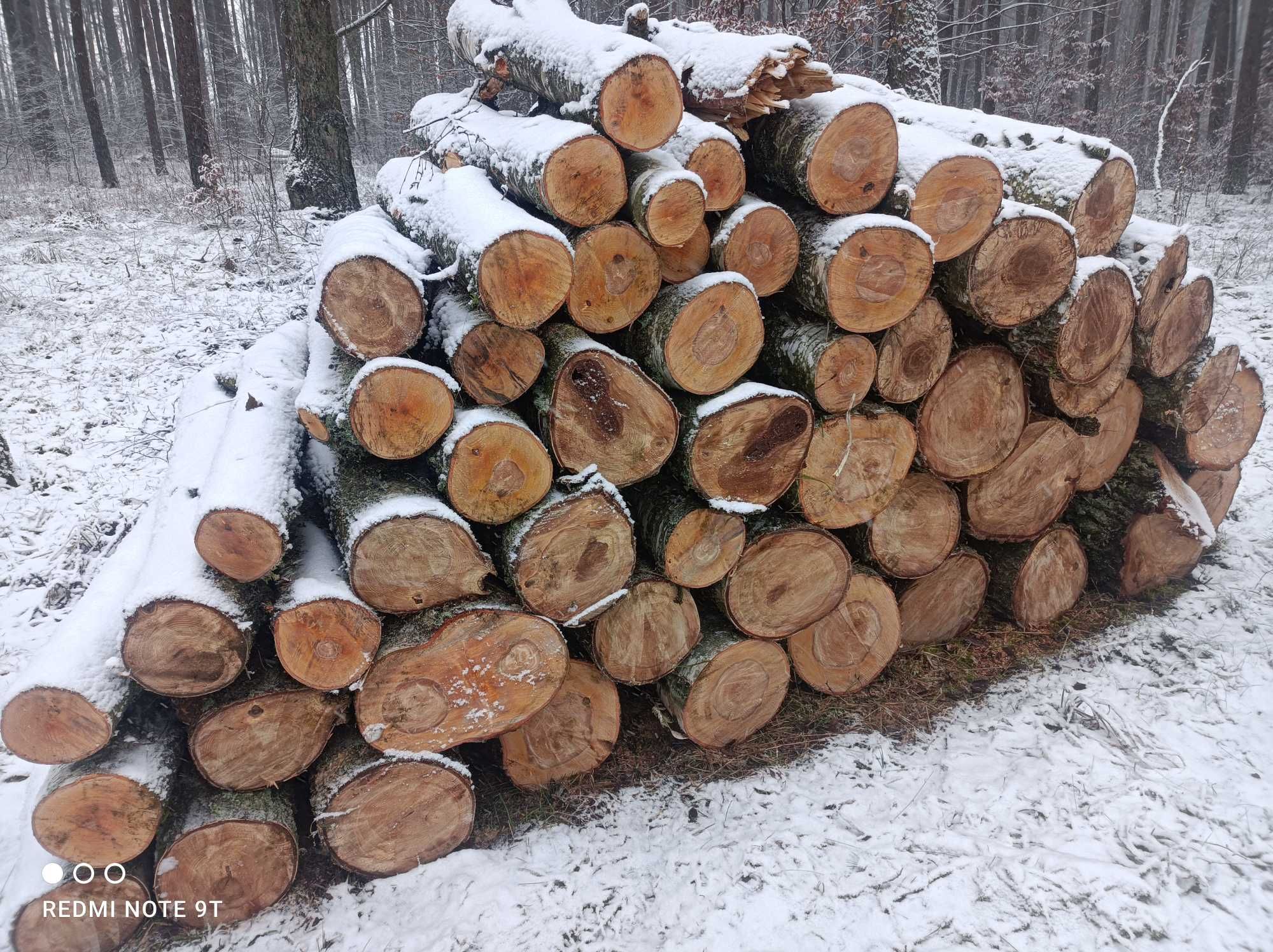 Drewno opałowe Brzoza grube wałki transport