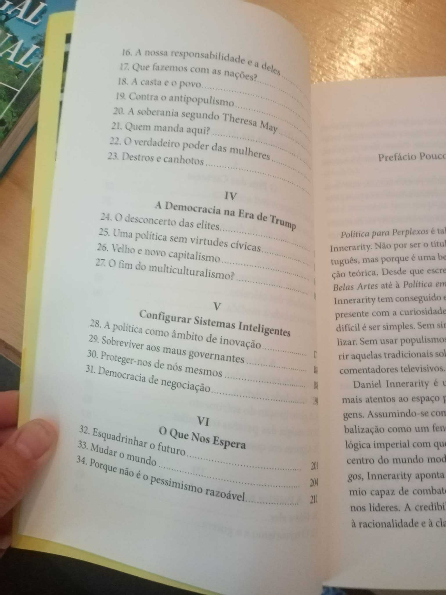 Daniel Innerarity, Política para perplexos