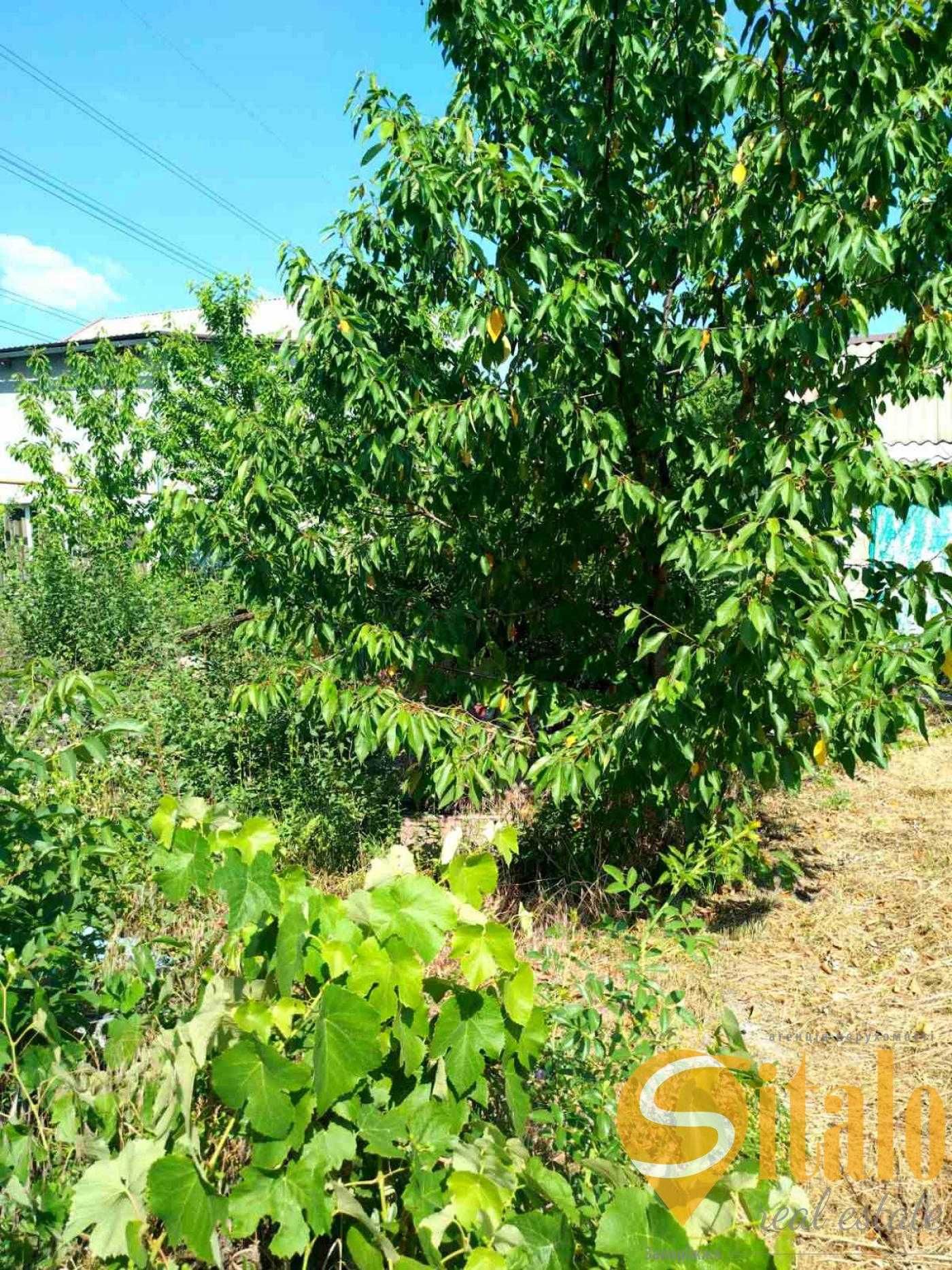 Продаж дачі с будинком (035)