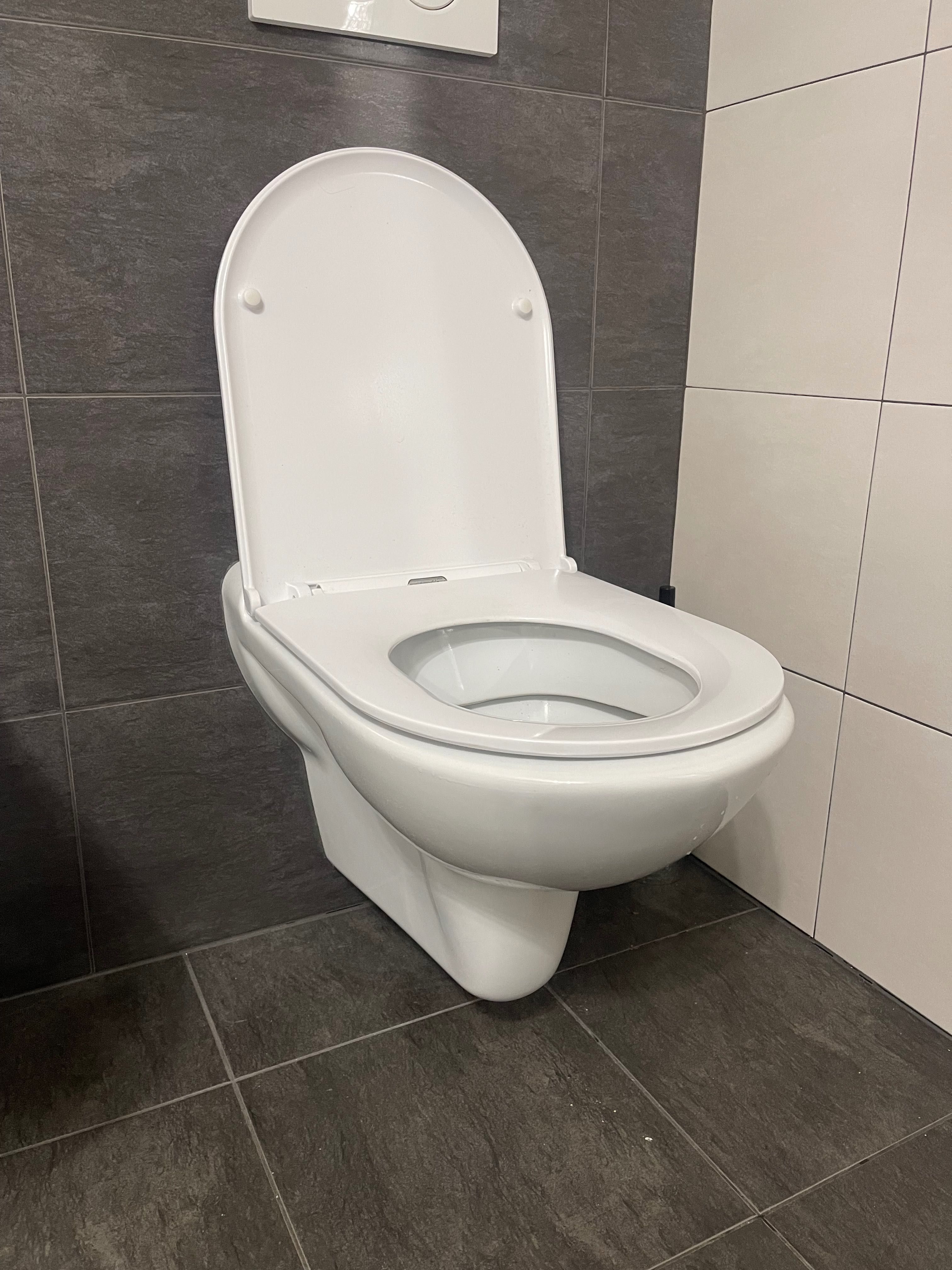 Toaleta , Bidet z baterią , Przycisk do toalety Geberit , stan IDEALNY