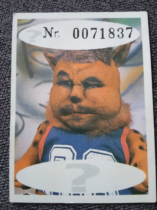 Kartonowa wkładka do gum (Andy Candy)