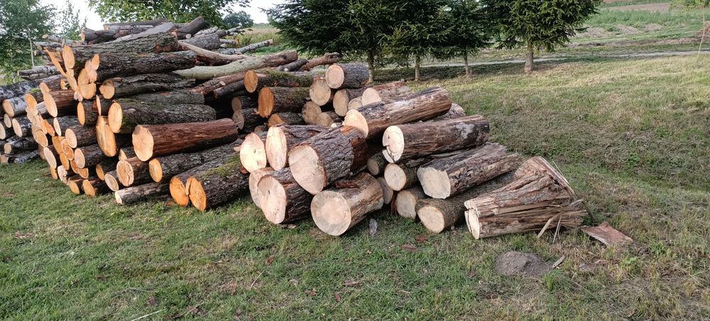 Wałki  sosna (SUCHA) 150zł brzoza 200 zł zapraszam