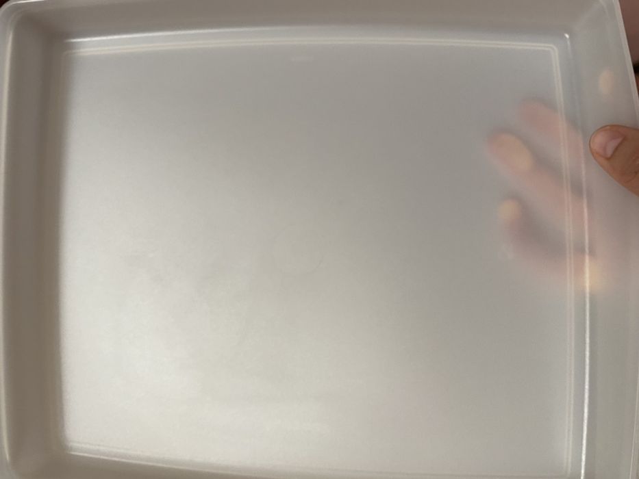 Tupperware para congelaçao rasa 24 x 29 (1.25 lt)