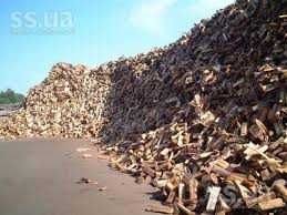 Реалізуємо дрова твердих порід