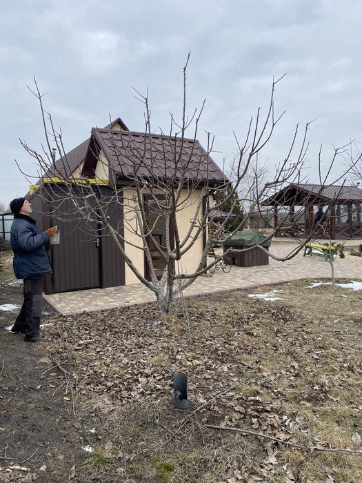 Профессиональная обрезка фруктовых деревьев,а так же любых других