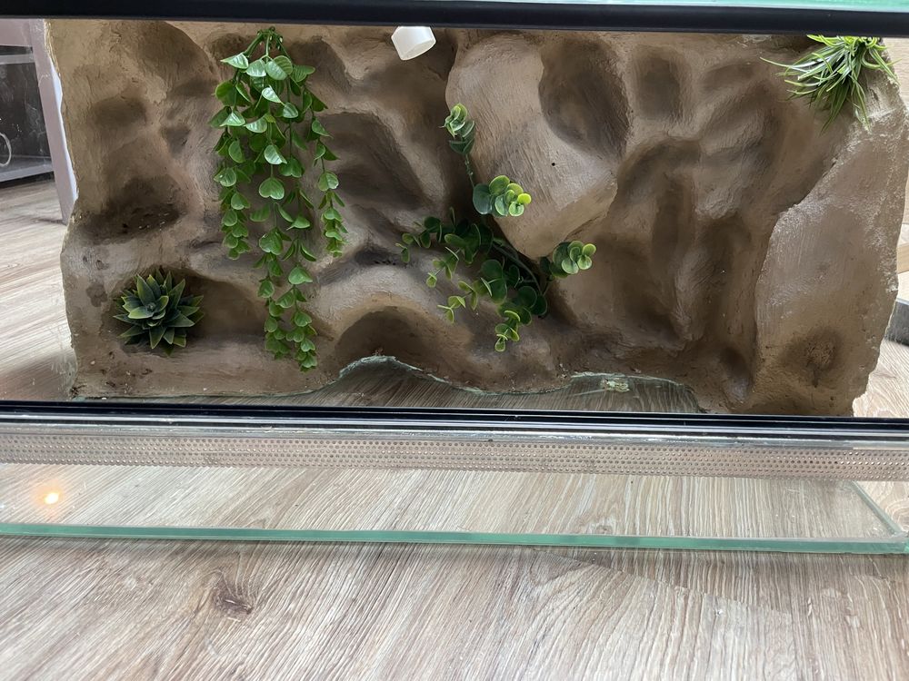 Terrarium ze ścianką dla gekona/ agama / jaszczurki/ pustynne