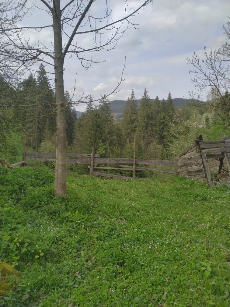 Земельна ділянка в райському куточку Верховини