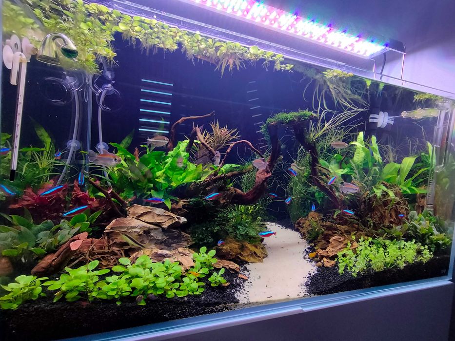 Lama akwariowa happet aqualed 84w