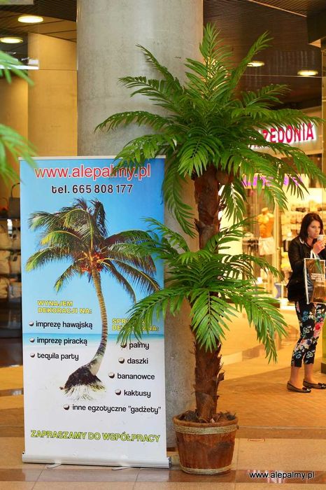 Piękna sztuczna palma wysoka, dużo liści, kokosy drzewko egzotyczne