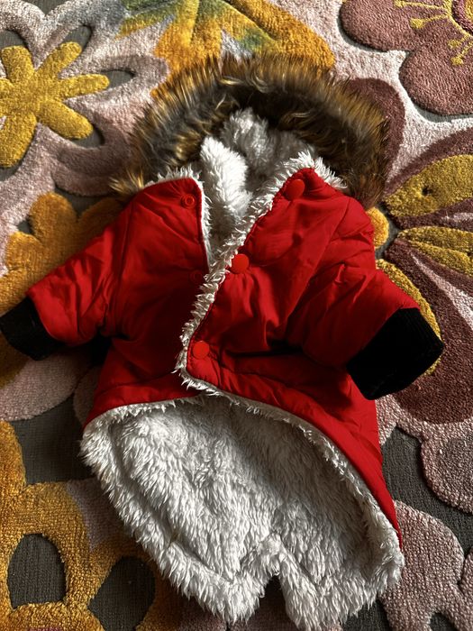 Одяг для собак, кота