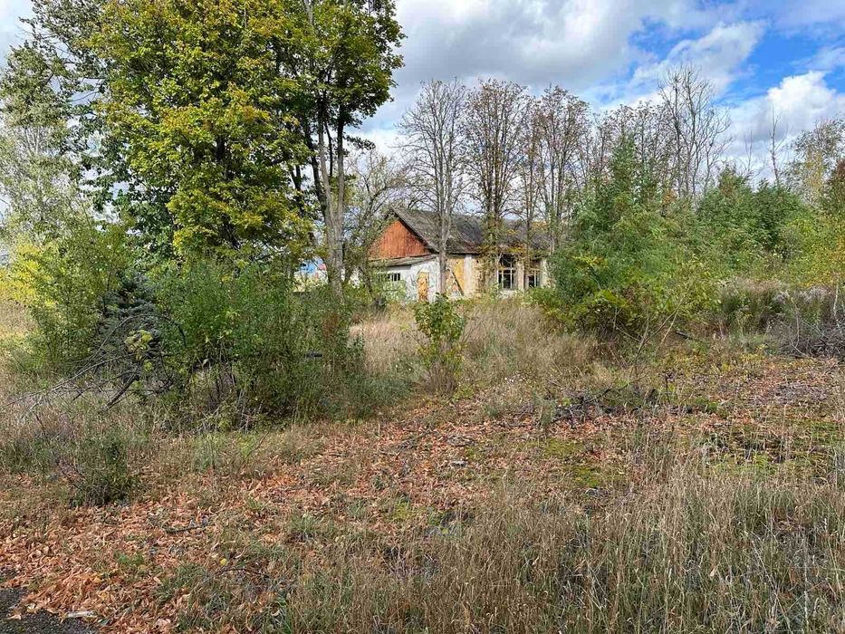 Продам бывший детский лагерь в центре пгт. Высокий