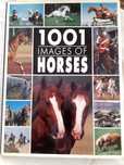 1001 imagens  Cavalos)"