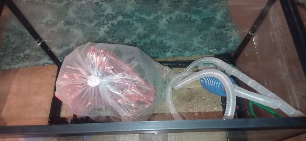 Aquário em bom estado