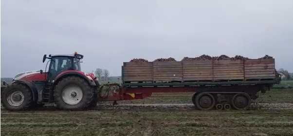 przyczepa platforma do skrzynio palet warzyw