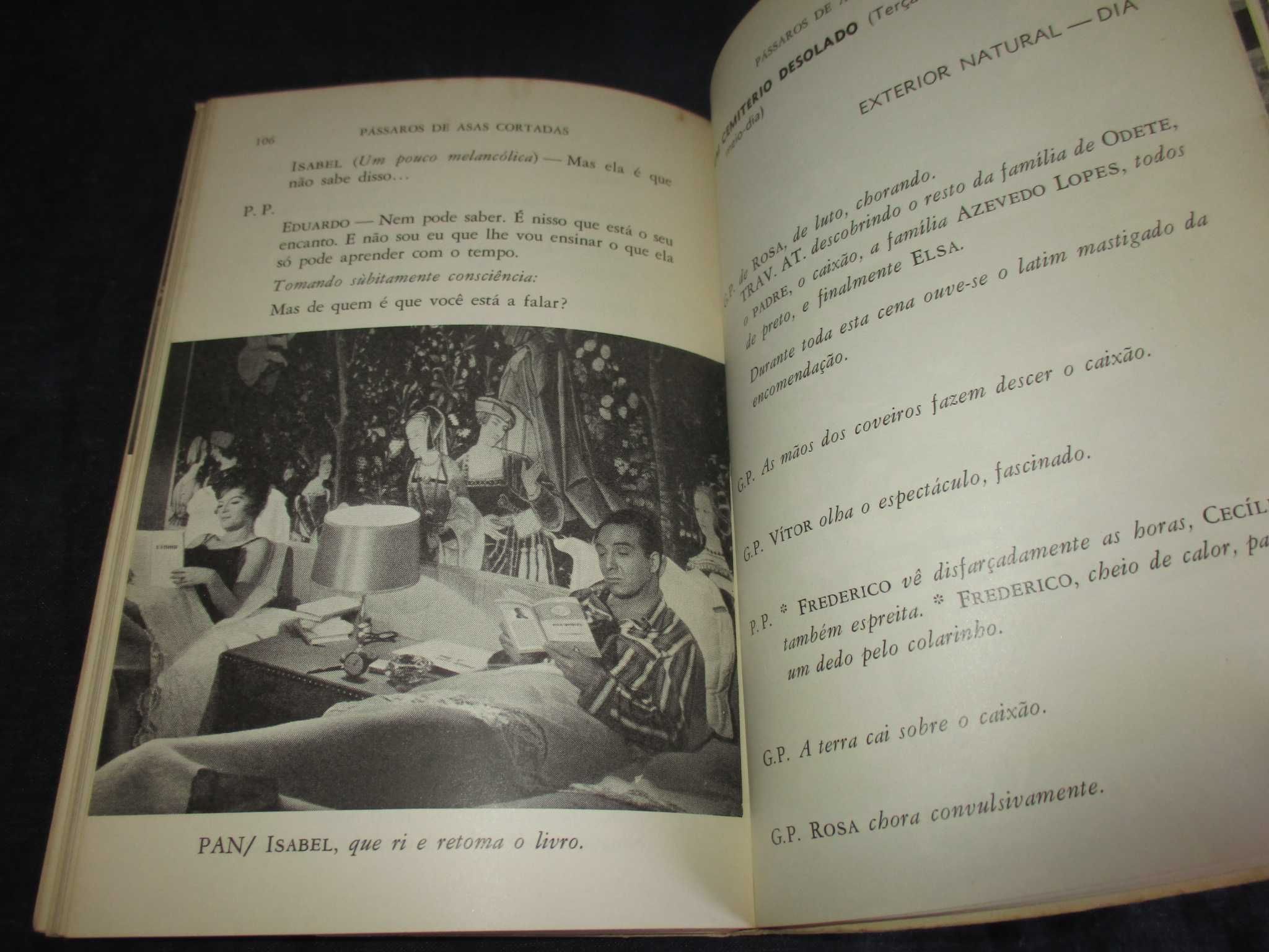 Livro Guião Pássaros de Asas Cortadas Luís Francisco Rebelo