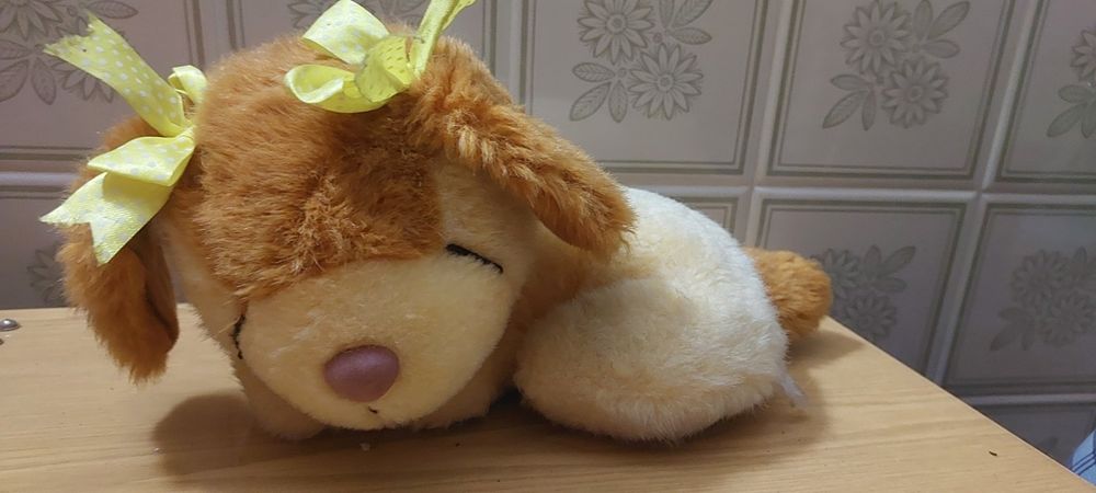 Собака продам детская