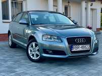 Audi A3 1.6BENZ 102KM*MPI*LIFT*Czujniki parkowania*SERWIS*Bezypadkowa*PIĘKNA