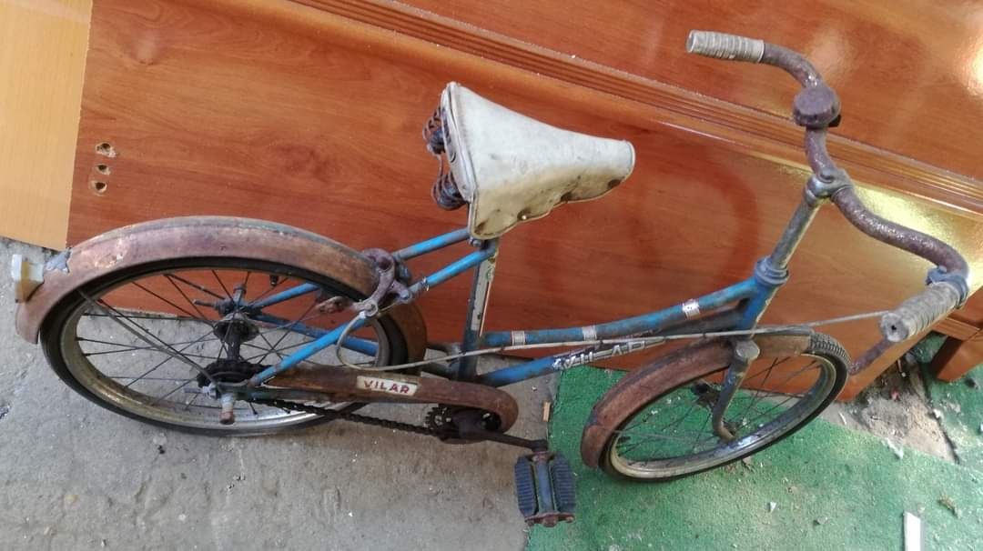 Várias bicicletas