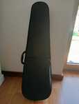 Caixa de violino