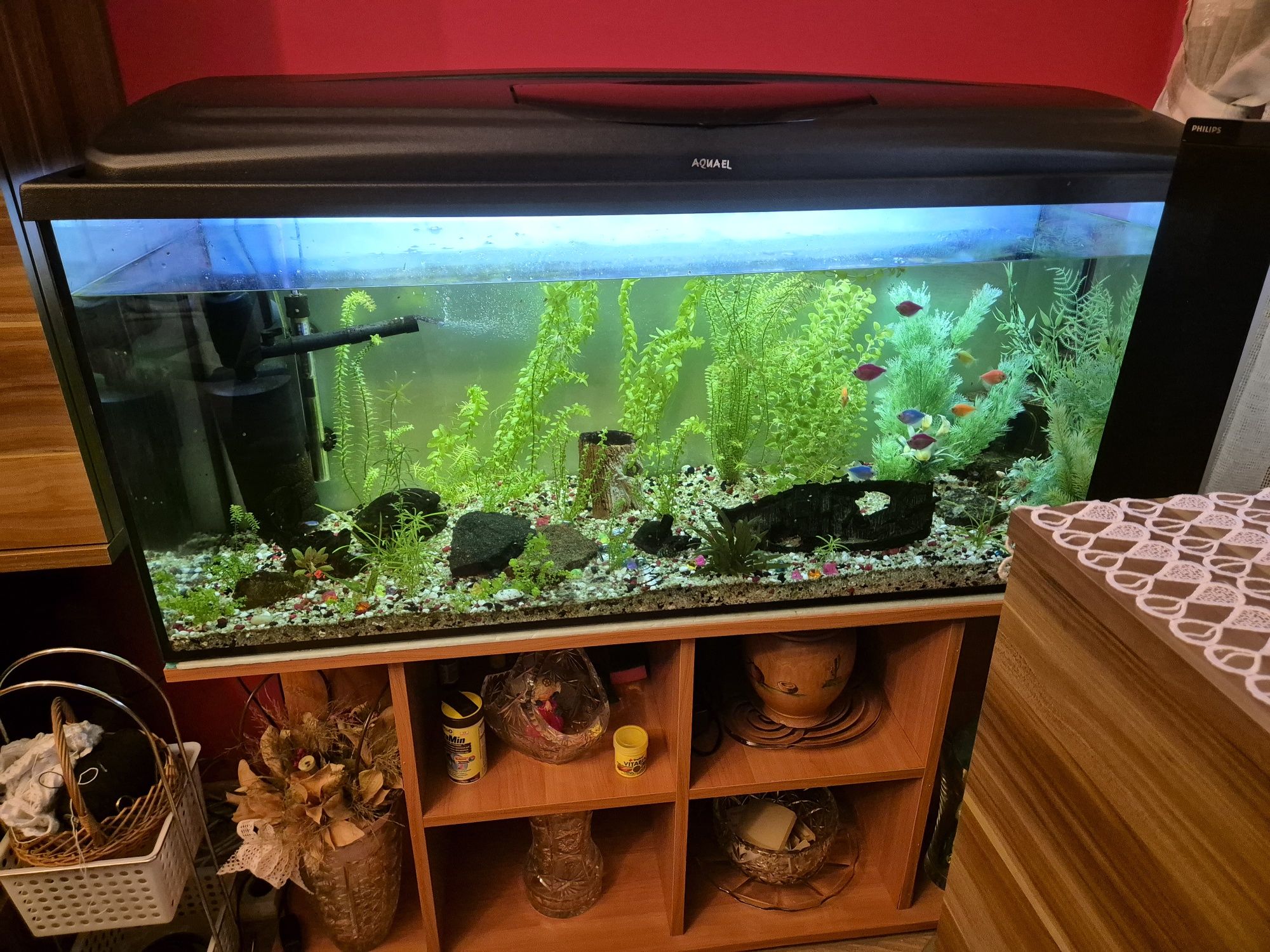 Szafka po akwarium 120x40