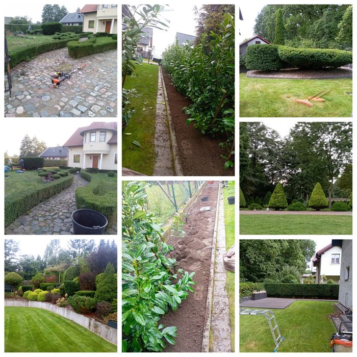 Wypożyczalnia sprzętu ogrodniczego Rumia Reda Wejherowo i okolice