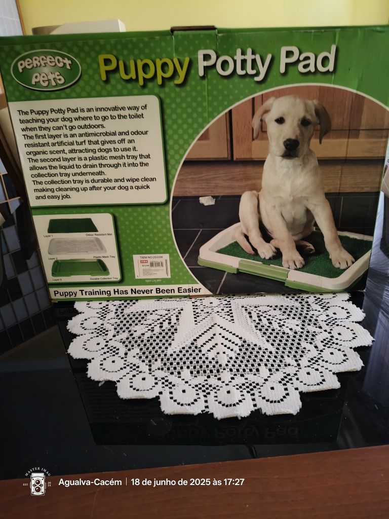 Banheiro de treinamento para cachorro