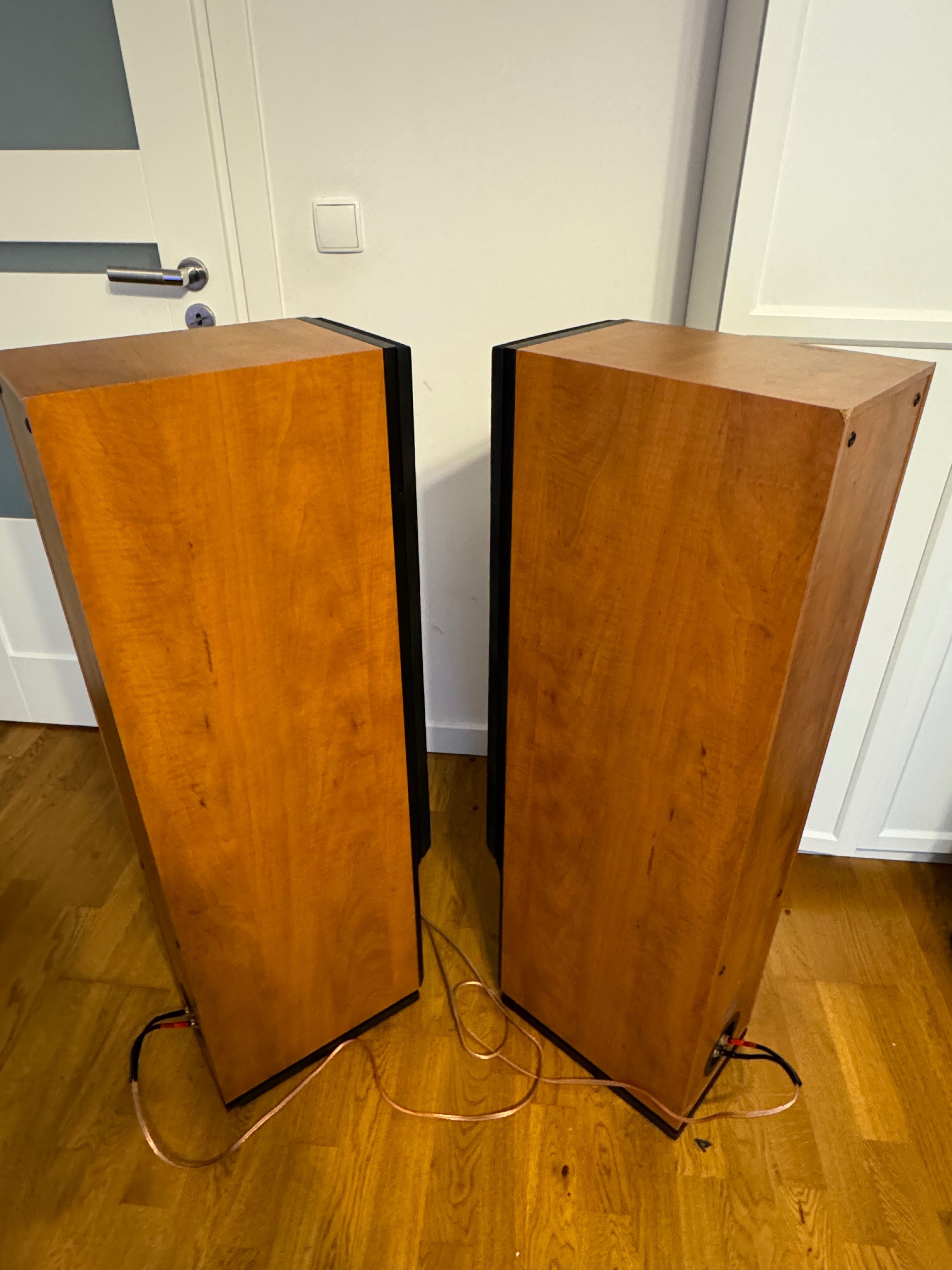 Dynaudio audience 82