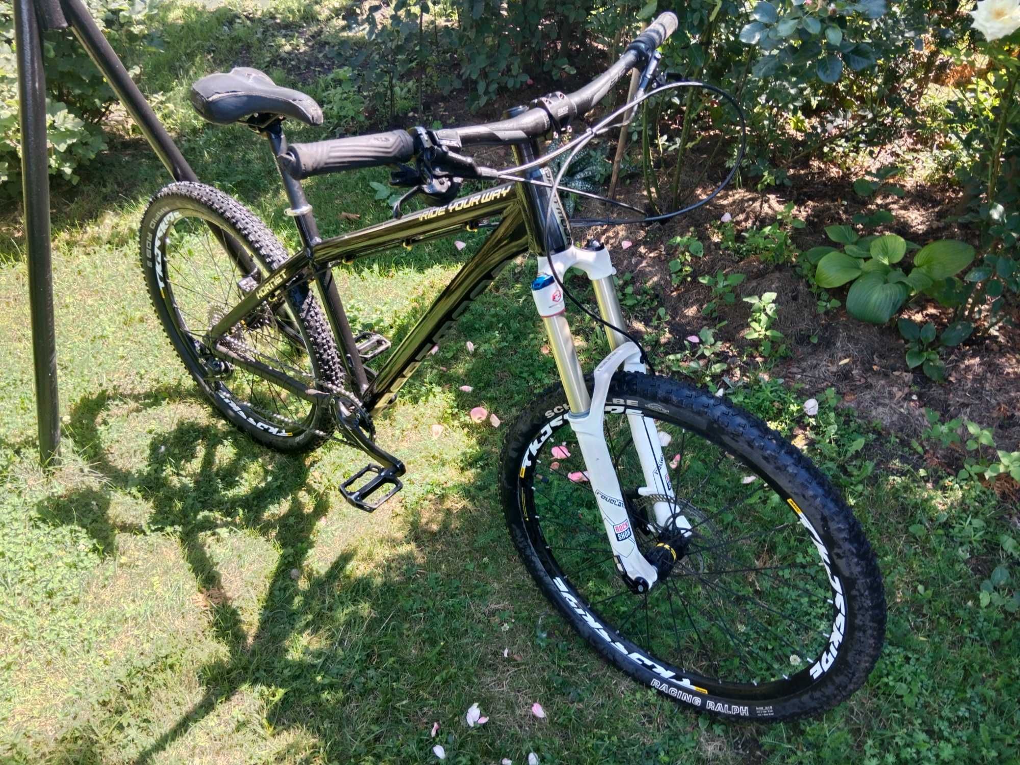 Rower Dartmoor hornet M