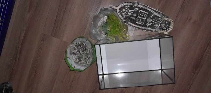 Akwarium dla ryb