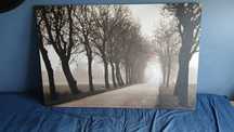 Obraz ikea 120x80