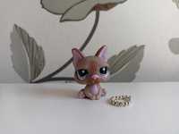 Littlest Pet Shop #1896 buldog