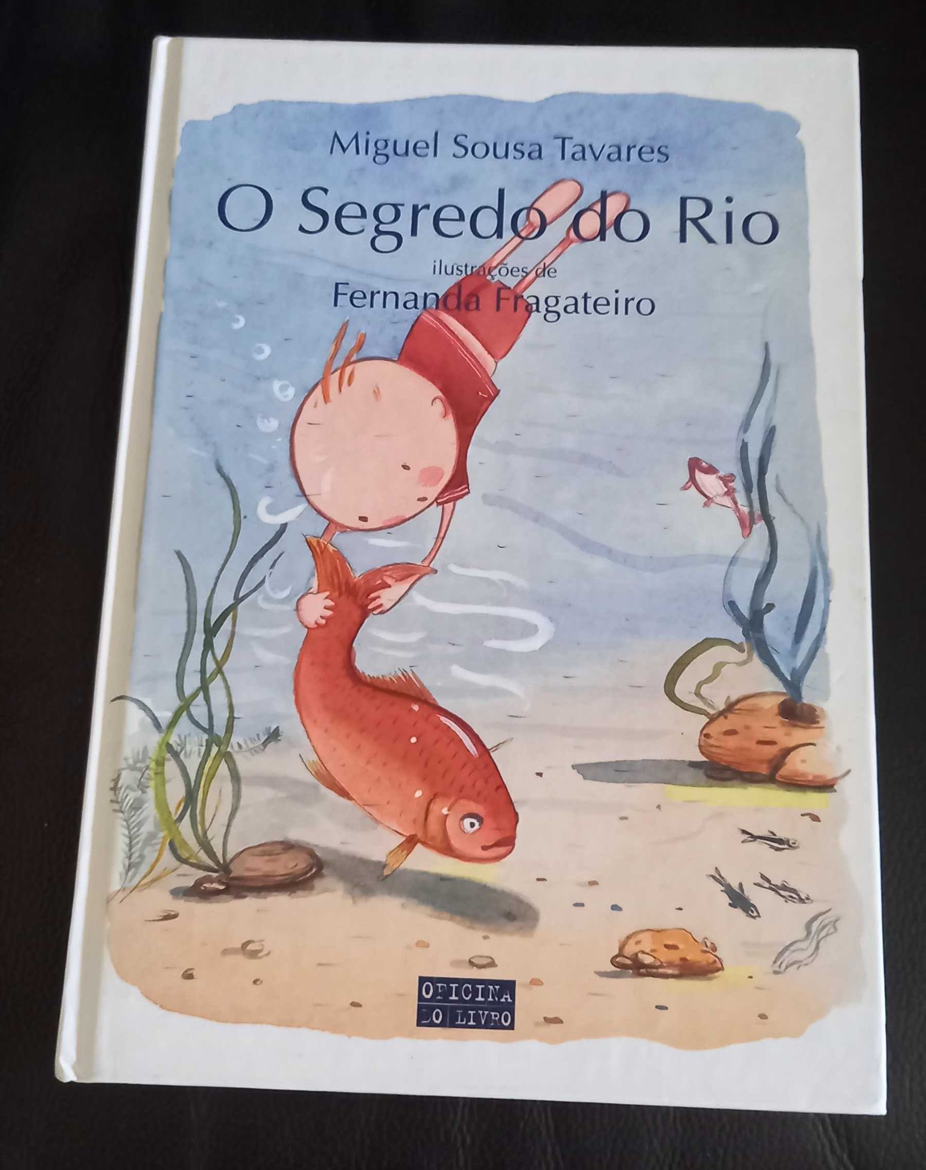 O segredo do rio, Miguel Sousa Tavares