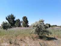 Terreno em Pegões de 41750,00 m2