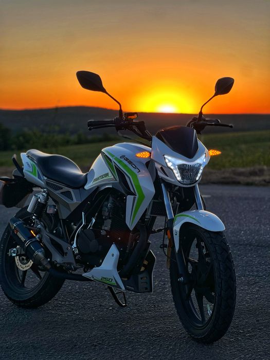 Geon pantera 250