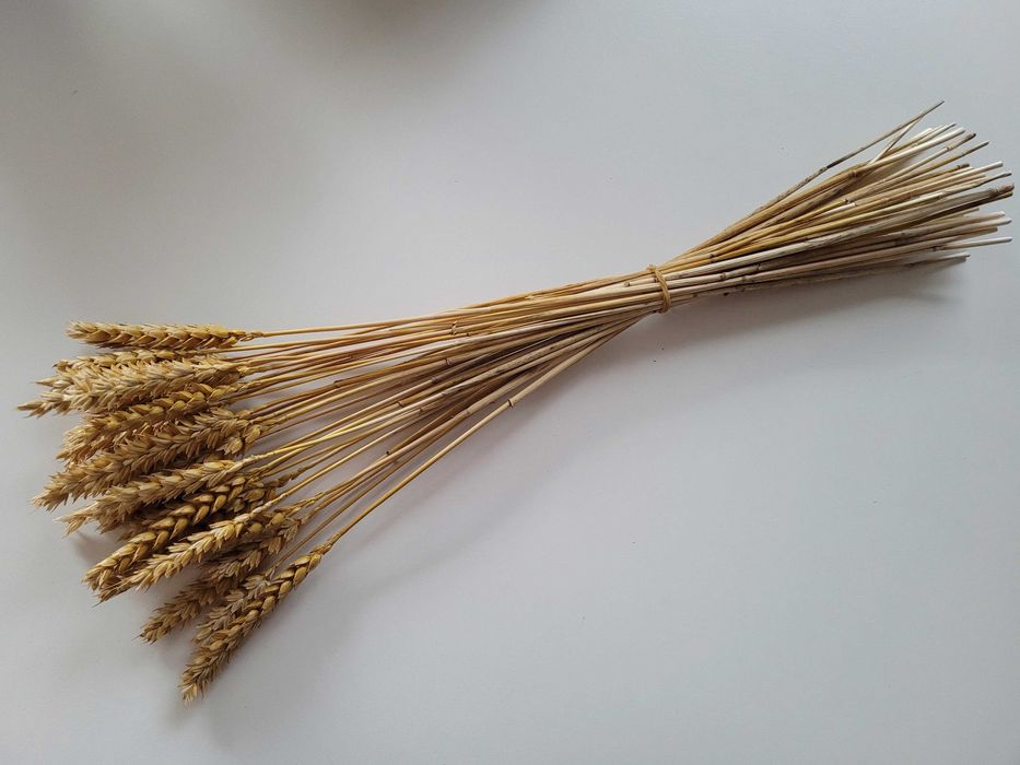 NA DOŻYNKI - suszone trawy kłosy bukieciki kwiaty suszone