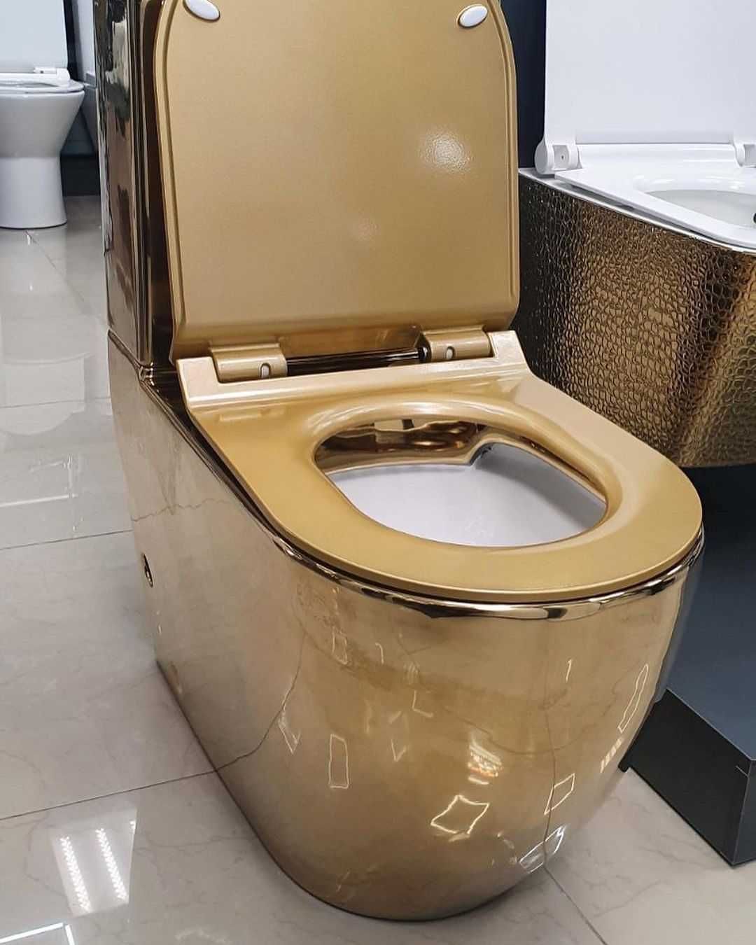 Єксклюзивна модель унітазу