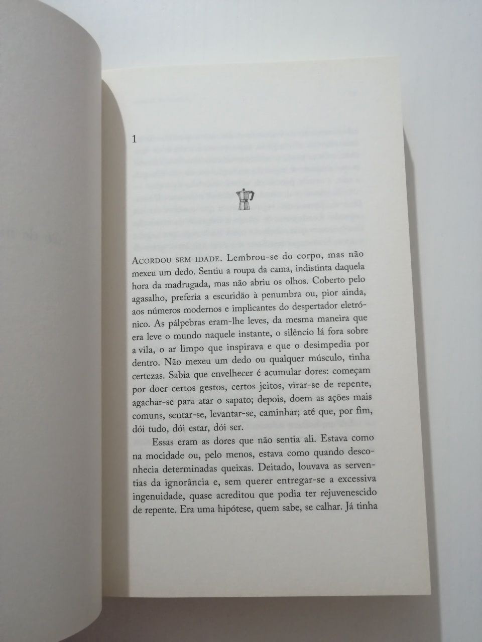 Livro: "Almoço de Domingo" de José Luís Peixoto