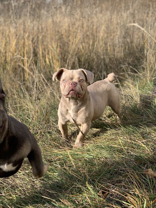Веселый мальчик ждет родителей