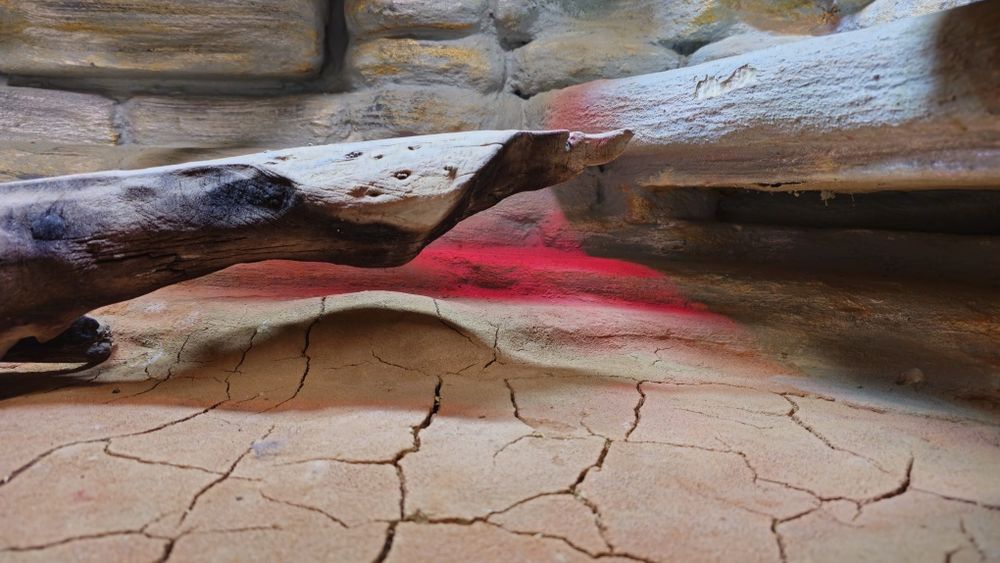 Terrarium  duże masywne