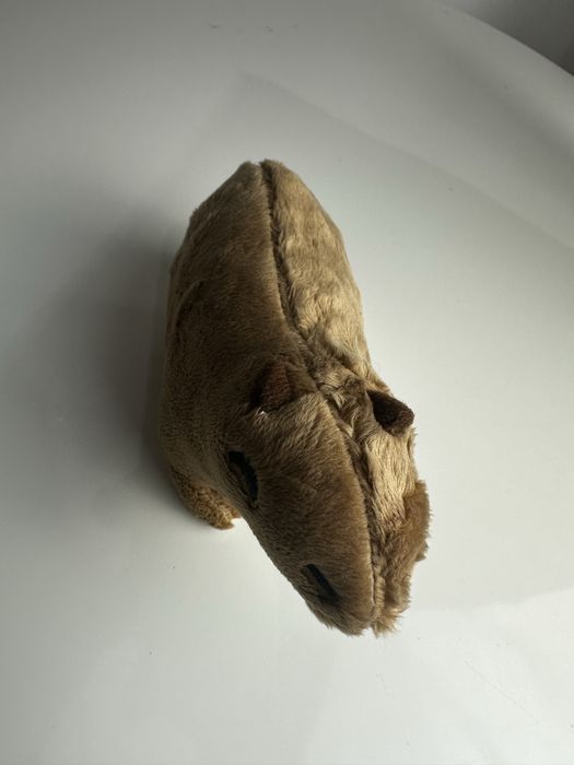 Nowa uśmiechnieta kapibara