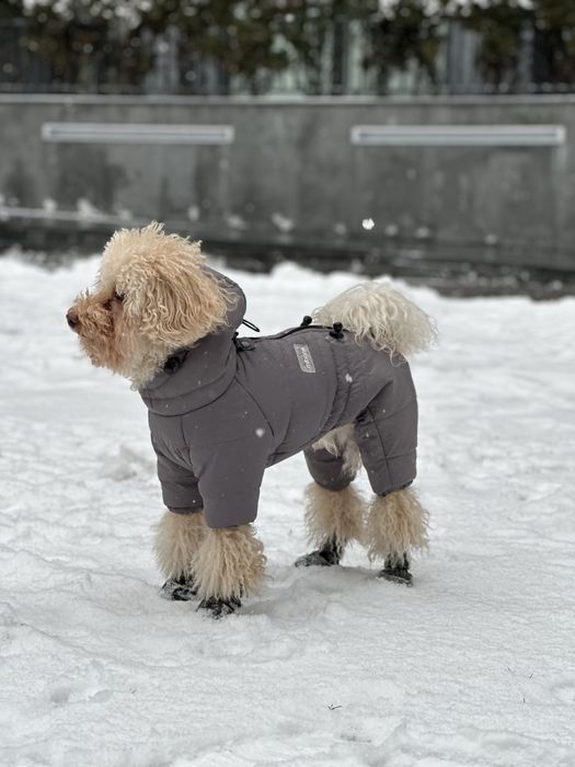 Zimowy kombinezon da psa, recznie szyty (szary, lilowy)