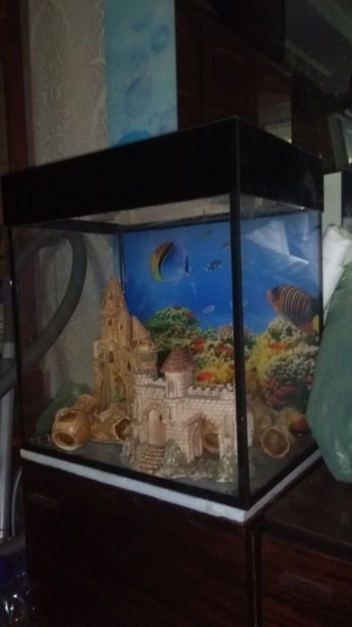 Аквариумы разного объема